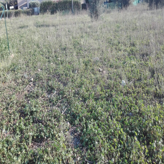 Offres de vente Terrain Clermont-l'Hérault (34800)
